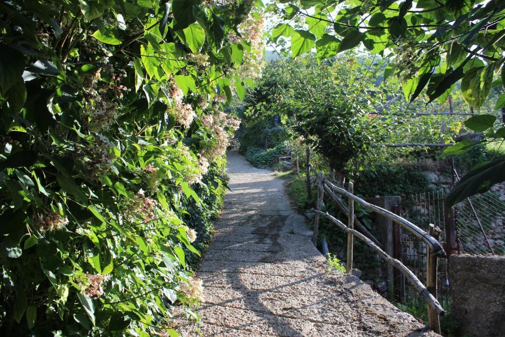 Agriturismo Nonno Tobia Agerola Exterior photo